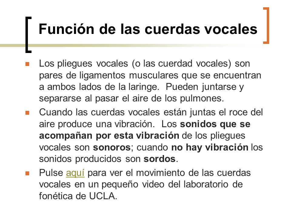 Que son las cuerdas vocales y cual es su funcion